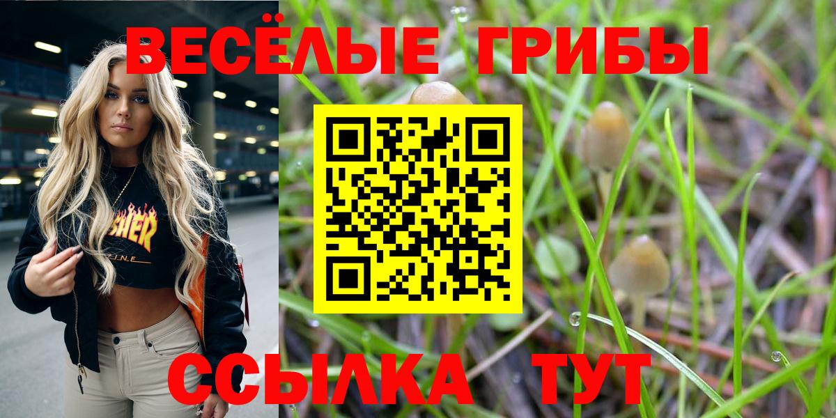 Галлюциногенные грибы Magic Shrooms  Галлюциногенные грибы Psilocybe  Озёры  Вход с VPN 